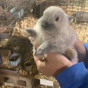 Meet your Posher, Matthew